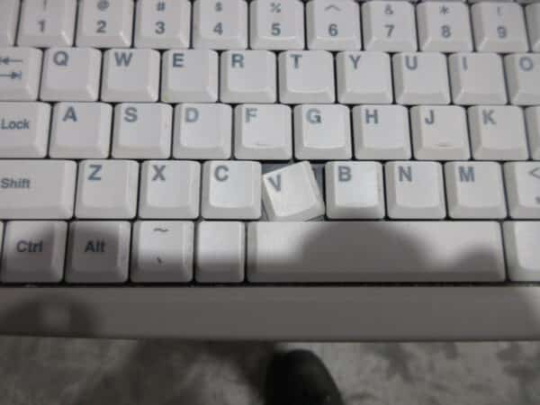 Toshiba Nemio XG Ultraschallgerät mit 3 Sonden – Bild 4