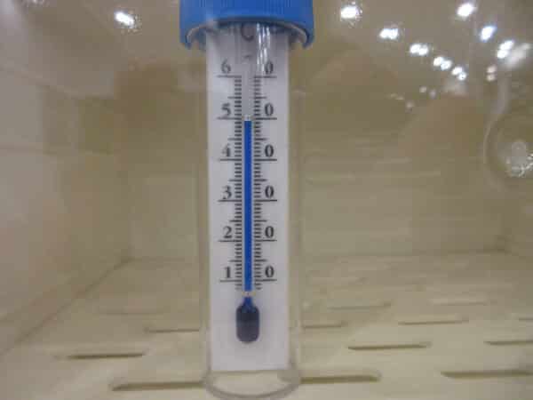 Almedica Brutschrank Inkubator 25°C - 49°C – Bild 2